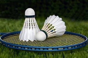 Birdies sitting on badminton racket