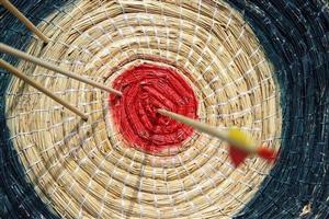 Archery target with arrow in bullseye